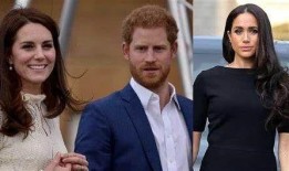 最新爆料哈里,揭秘王室内部惊人真相